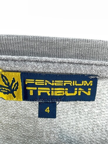 universal Beden gri Renk Fenerium Sweatshirt p İndirimli.