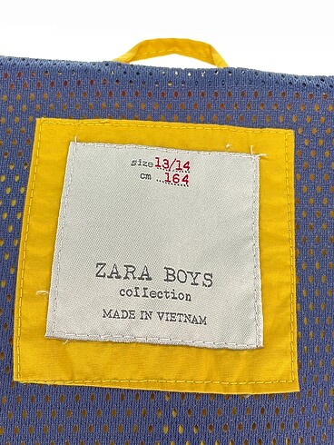 universal Beden sarı Renk Zara Mont %70 İndirimli.