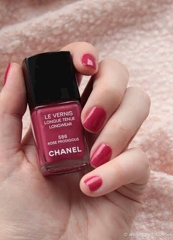 CHANEL 586 OJE
