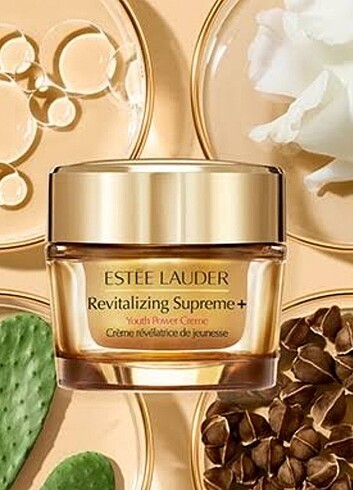 Estee Lauder ESTEE LAUDER YOUTH POWER CREAM