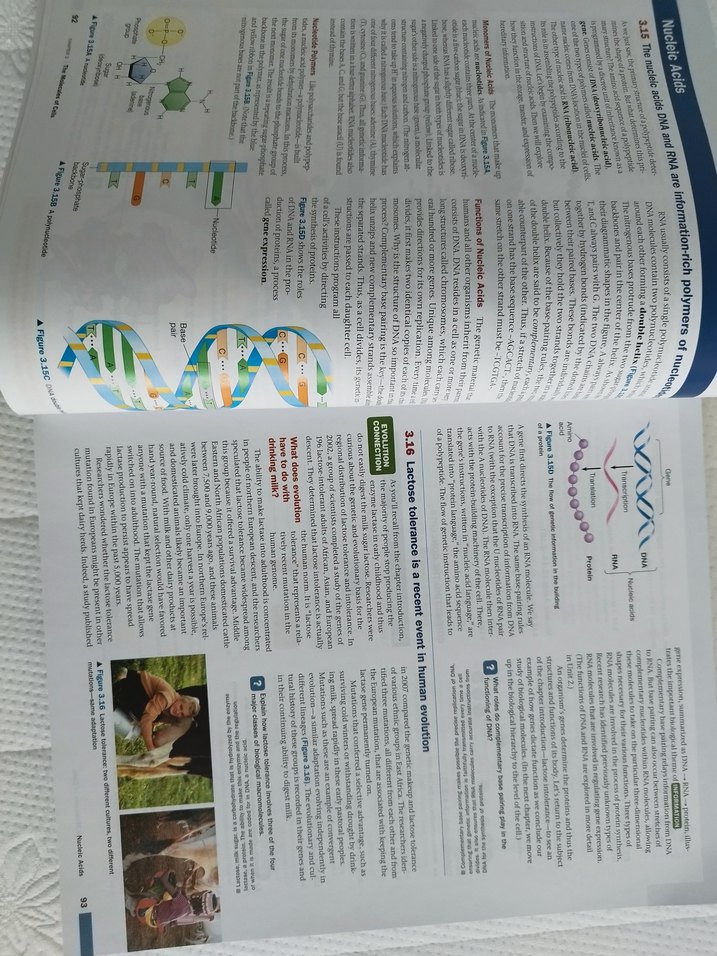 Campbell Biology - Görsel 3