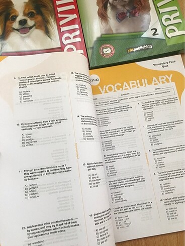 Beden Renk İngilizce test