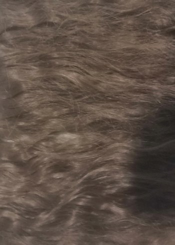 Kahverengi dalgalı kanelon saç - Görsel 3