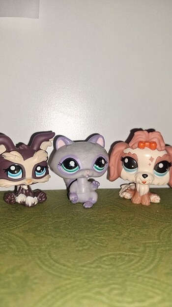 Lps miniş 