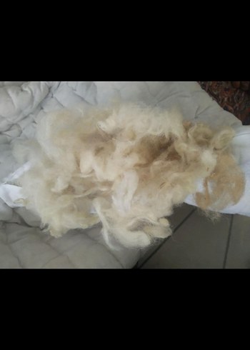 Karaca Home Yorganlık yün