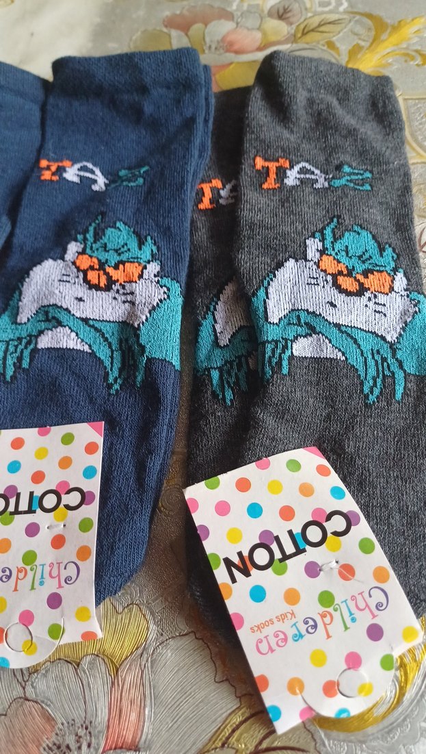 tazmanya canavarı desenli erkek çocuk çorabı - Görsel 2