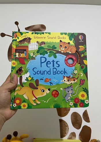 Usborne sesli ve eğitici kitaplar.
