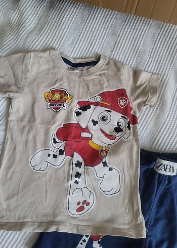 LC Waikiki Erkek Kısa Kollu sortlu Paw Patrol Takım
