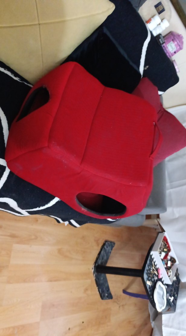 kedı evi - Görsel 2