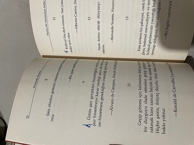 Beden Renk Başıboş Bir Yolculuktan Notlar Yazar: Fernando Pessoa