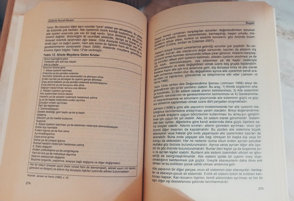 Sosyal Hizmet - Temel İlkeler ve Uygulamalar - Görsel 3