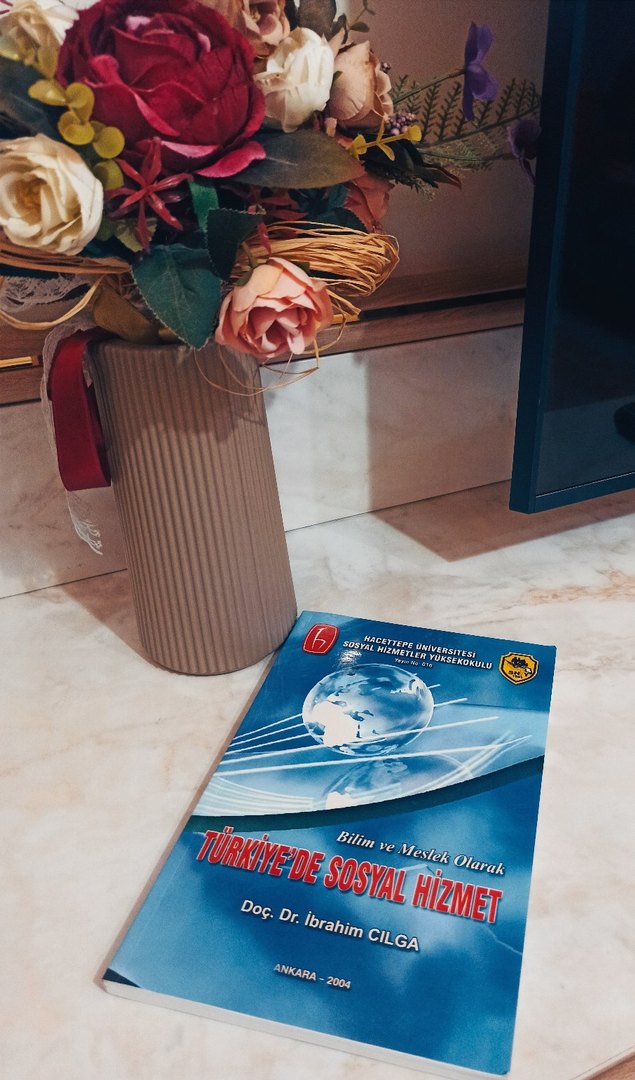 Türkiye'de Sosyal Hizmet Kitabı - Görsel 2