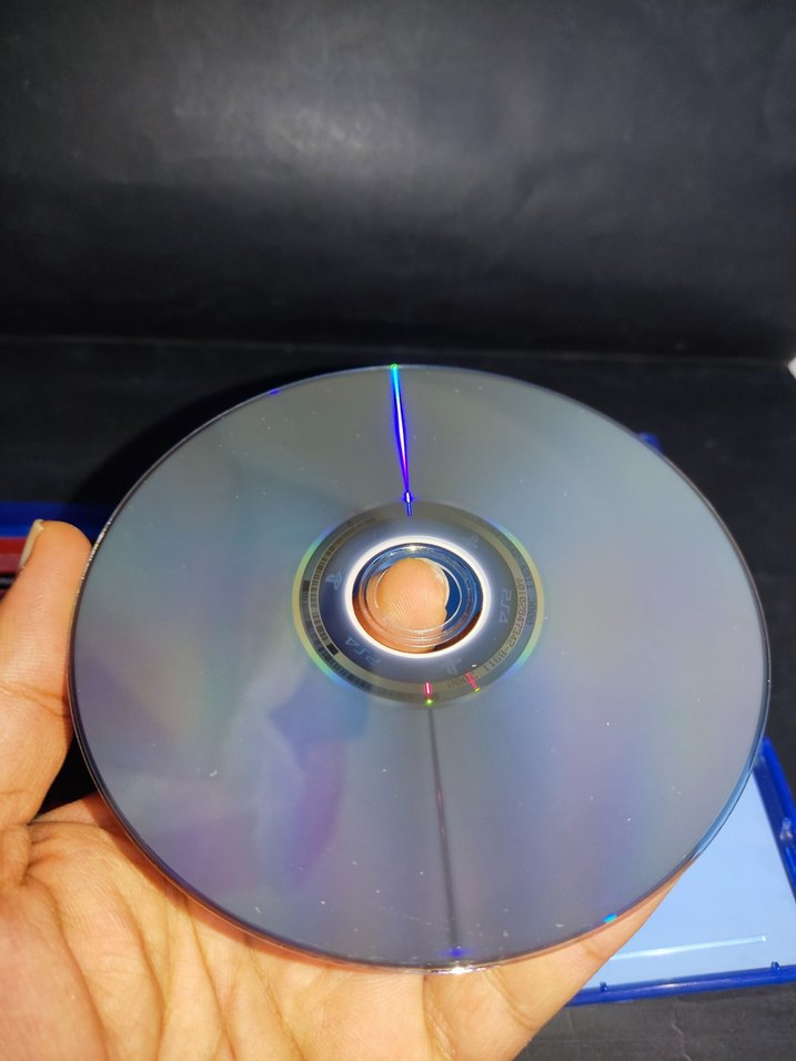 PS4 oyun dirt 4 - Görsel 5