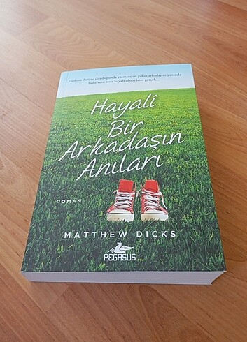 Hayalî Bir Arkadaşın Anıları