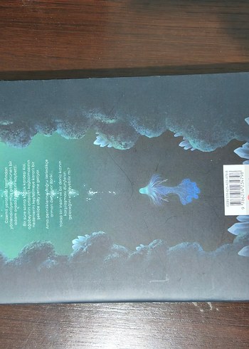 Ningyo - Matop Matan Kitap - Görsel 4