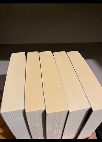 Sherlock Holmes Seti - Ren Yayınları 5 Kitap - Görsel 3