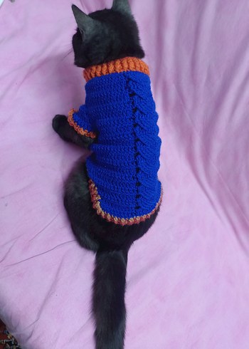 Renkli Örgü Kedi Kıyafeti - Görsel 3