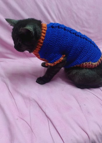 Renkli Örgü Kedi Kıyafeti - Görsel 4