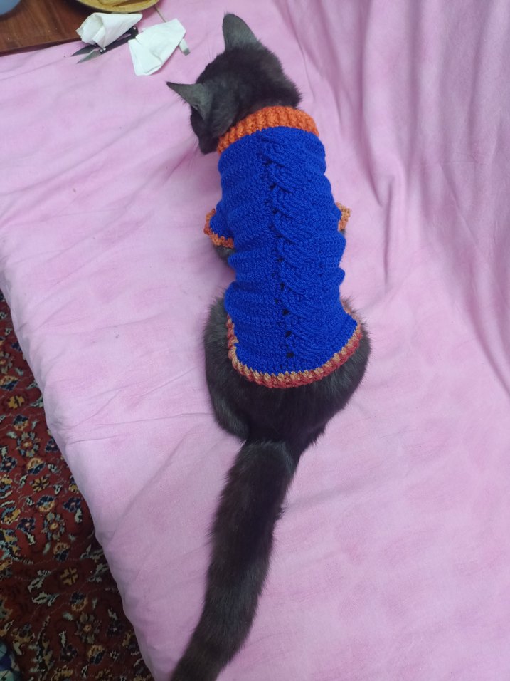 Renkli Örgü Kedi Kıyafeti - Görsel 2