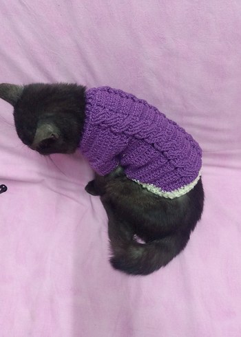 Mor Örgü Kedi Kıyafeti - Görsel 5