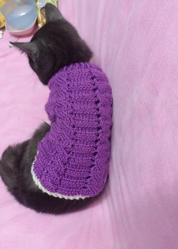 Mor Örgü Kedi Kıyafeti - Görsel 3
