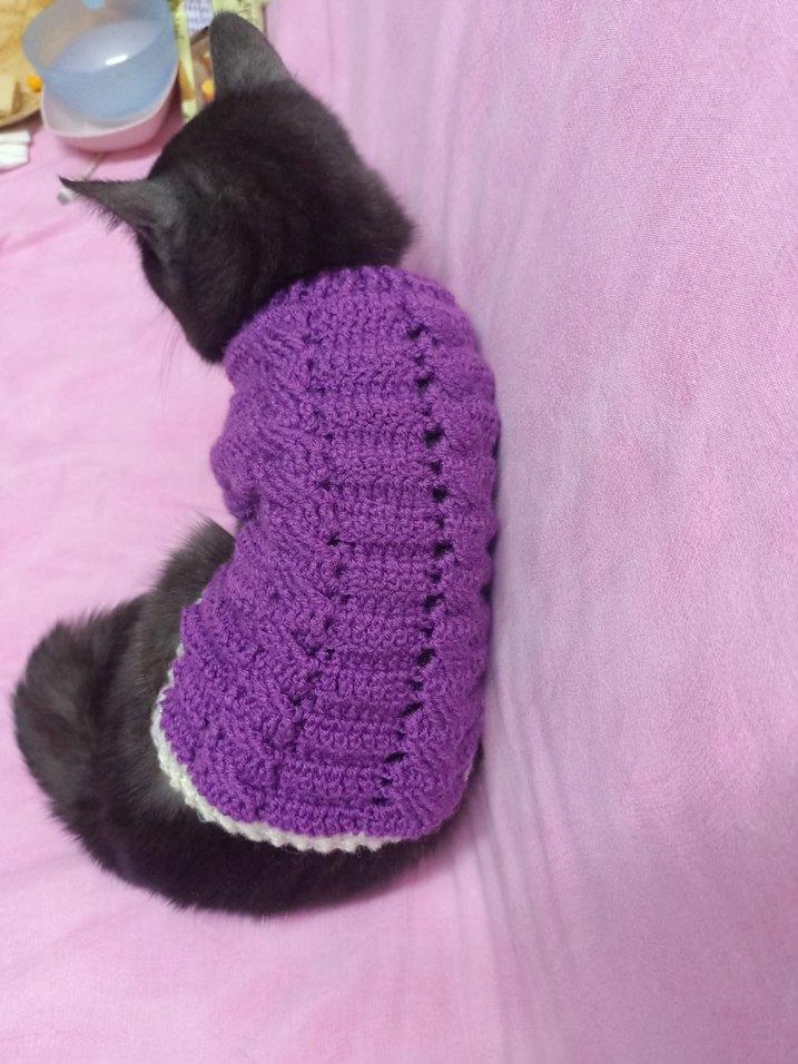 Mor Örgü Kedi Kıyafeti - Görsel 3