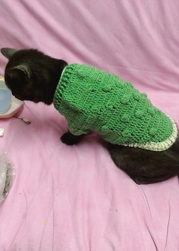 Kedi için yeşil örgü kazak - Görsel 3