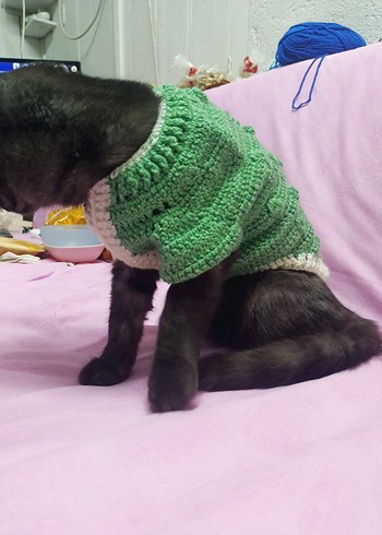 Kedi için yeşil örgü kazak - Görsel 4