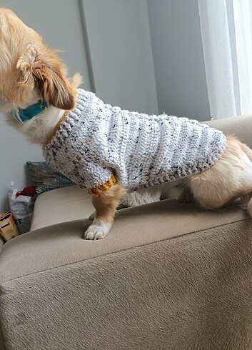 Küçük ırk köpek kıyafetleri 