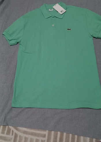 Lacoste xxl