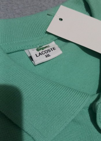 Yeşil Erkek Polo Tişört Kısa Kollu - Görsel 3