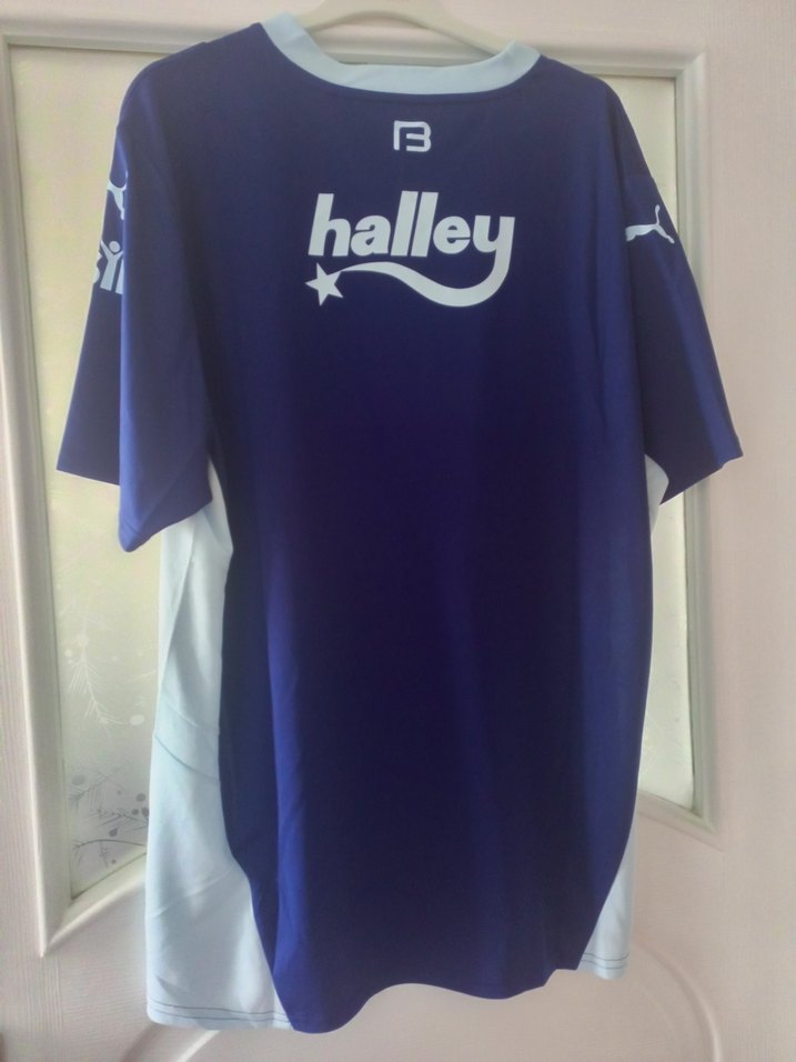 Fenerbahçe puma orjinal forma - Görsel 2