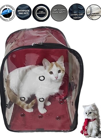  Beden Kedi taşıma çantası 