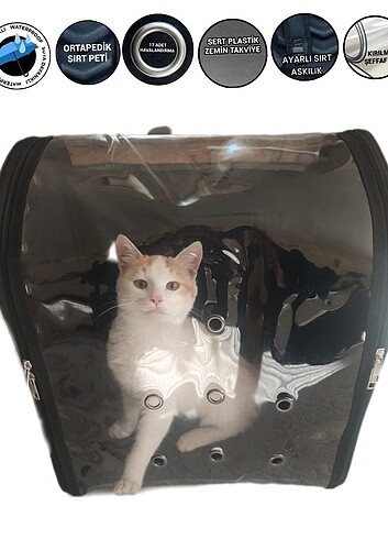  Kedi taşıma çantası 