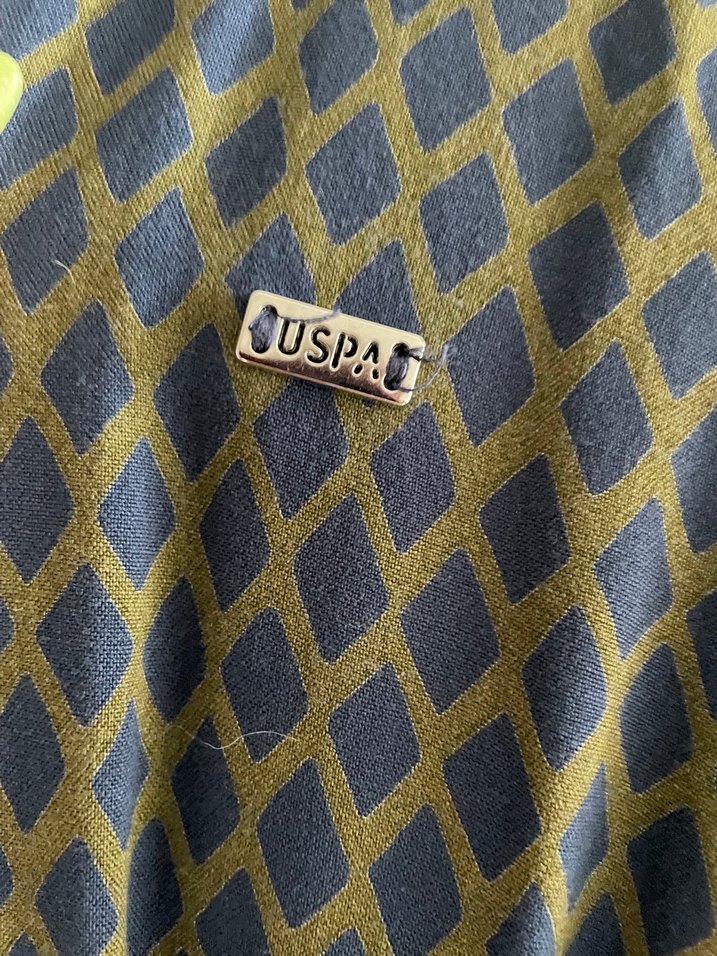 U.S. polo desenli gömlek - Görsel 2