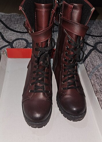 Bordo bot