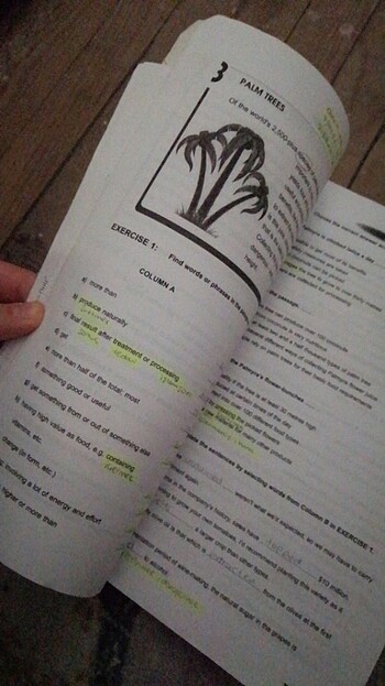  Els reading