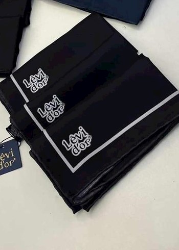 Siyah Kadın twill İpek Eşarp - Levidor - Görsel 2