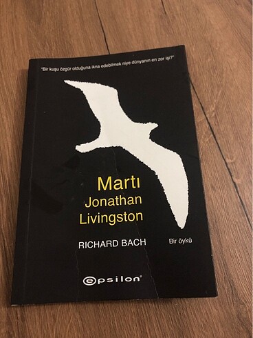 Martı Jonathan Livingston