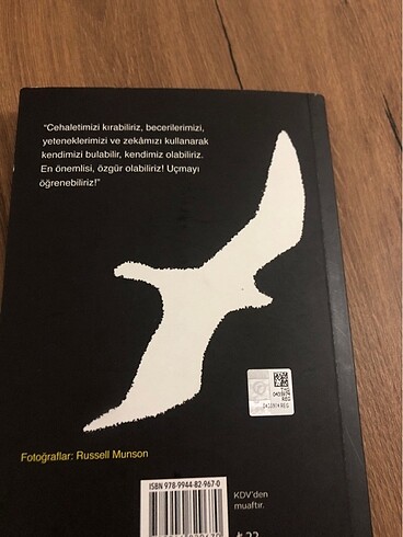  Martı Jonathan Livingston