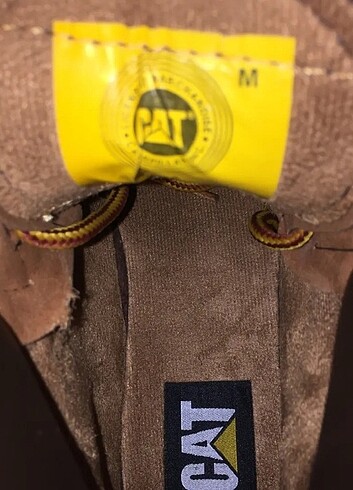 Cat bot - Görsel 13