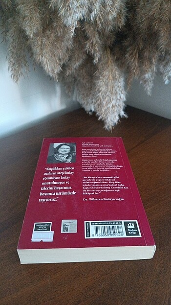 Camdaki Kız Gülseren Budayıcıoğlu