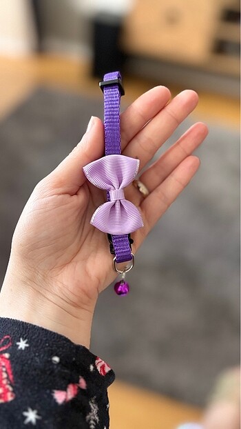 Rengarenk kedi tasmaları - Görsel 7