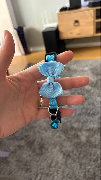 Rengarenk kedi tasmaları - Görsel 6