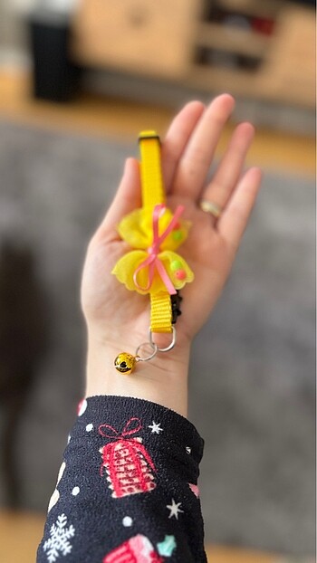 Rengarenk kedi tasmaları - Görsel 10