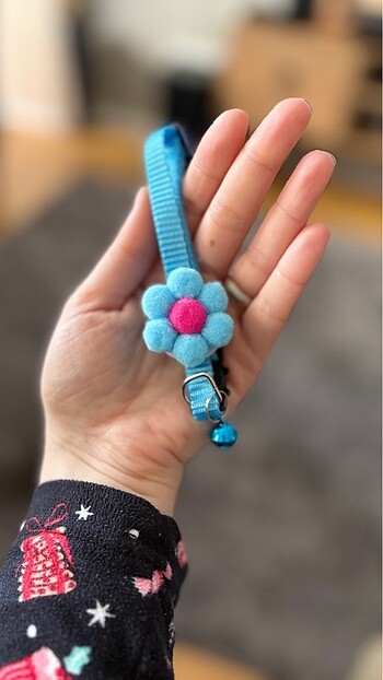 Rengarenk kedi tasmaları - Görsel 8