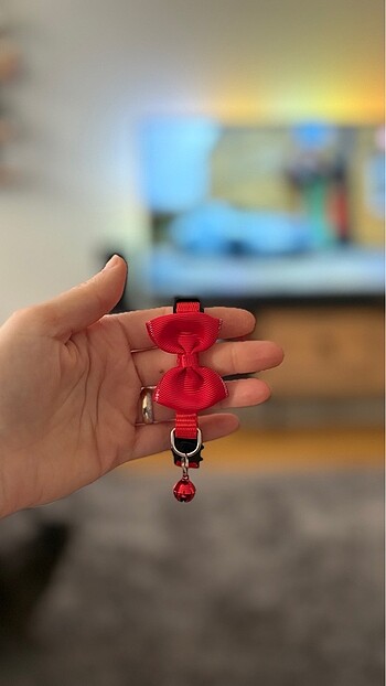 Rengarenk kedi tasmaları - Görsel 16