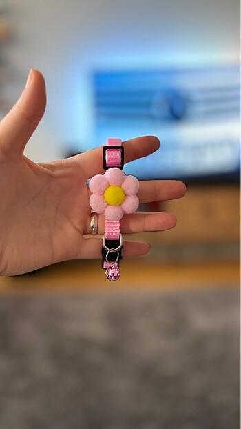 Rengarenk kedi tasmaları - Görsel 15