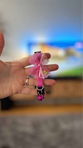 Rengarenk kedi tasmaları - Görsel 17