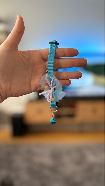 Rengarenk kedi tasmaları - Görsel 14